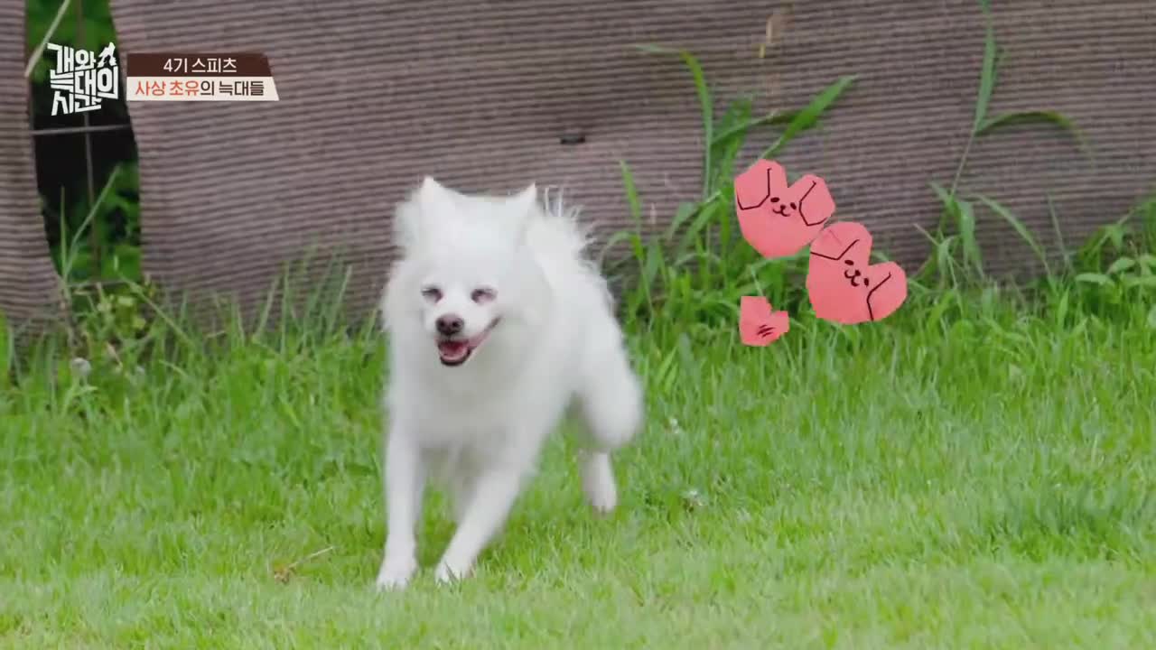 개와 늑대의 시간 2025-10-14