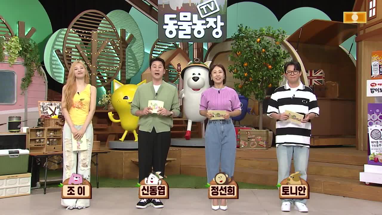 TV 동물농장 제1237회