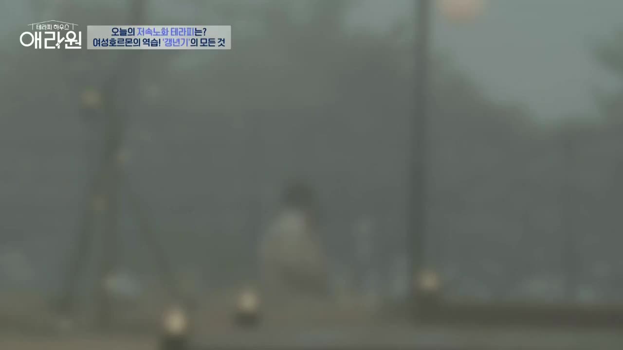 테라피 하우스 애라원 2025-02-18