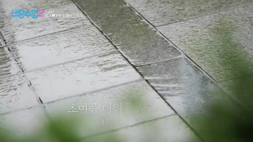 신랑수업2 2026-05-28