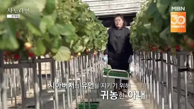휴먼다큐 사노라면 2025-03-16