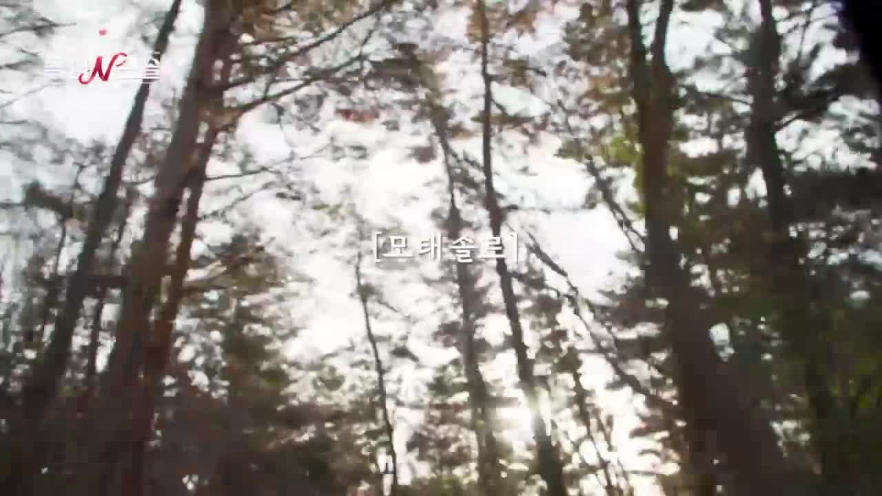 돌싱N모솔 2026-04-14