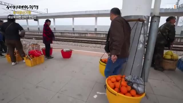 세계테마기행 2025-03-10