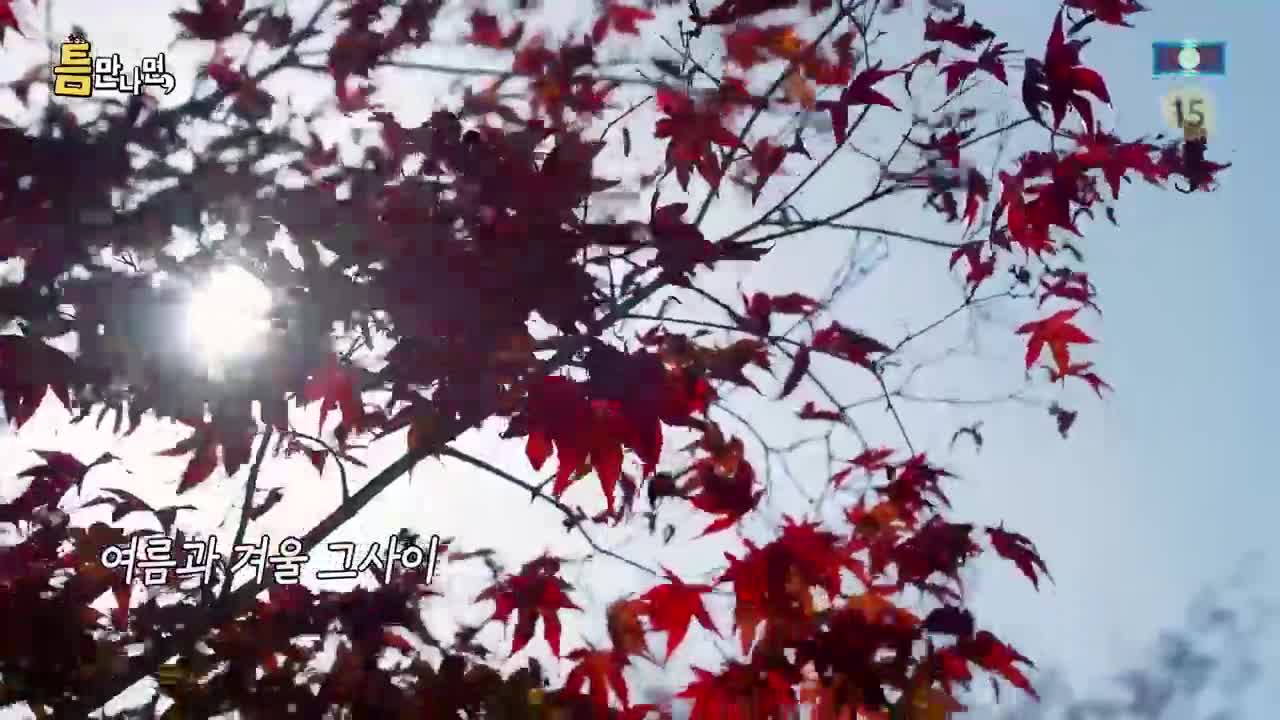 틈만나면 2025-12-16
