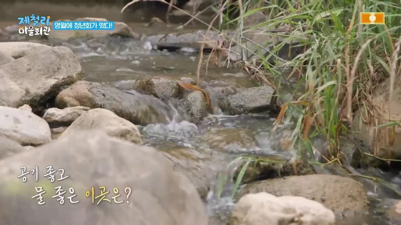 제철리 마을회관 2026-07-29