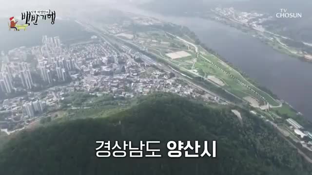 식객 허영만의 백반기행 제305회