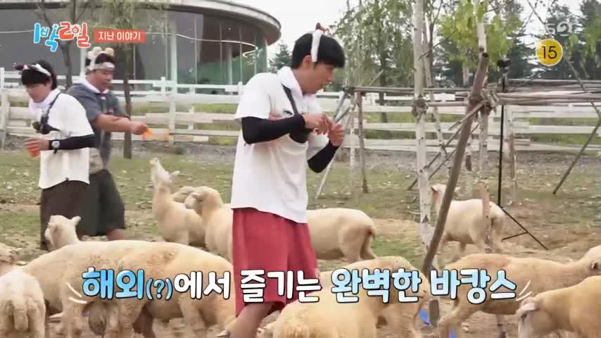 1박 2일 시즌4 제339회 2026-08-09