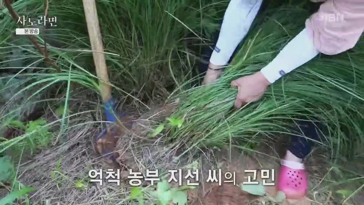 휴먼다큐 사노라면 2025-09-28