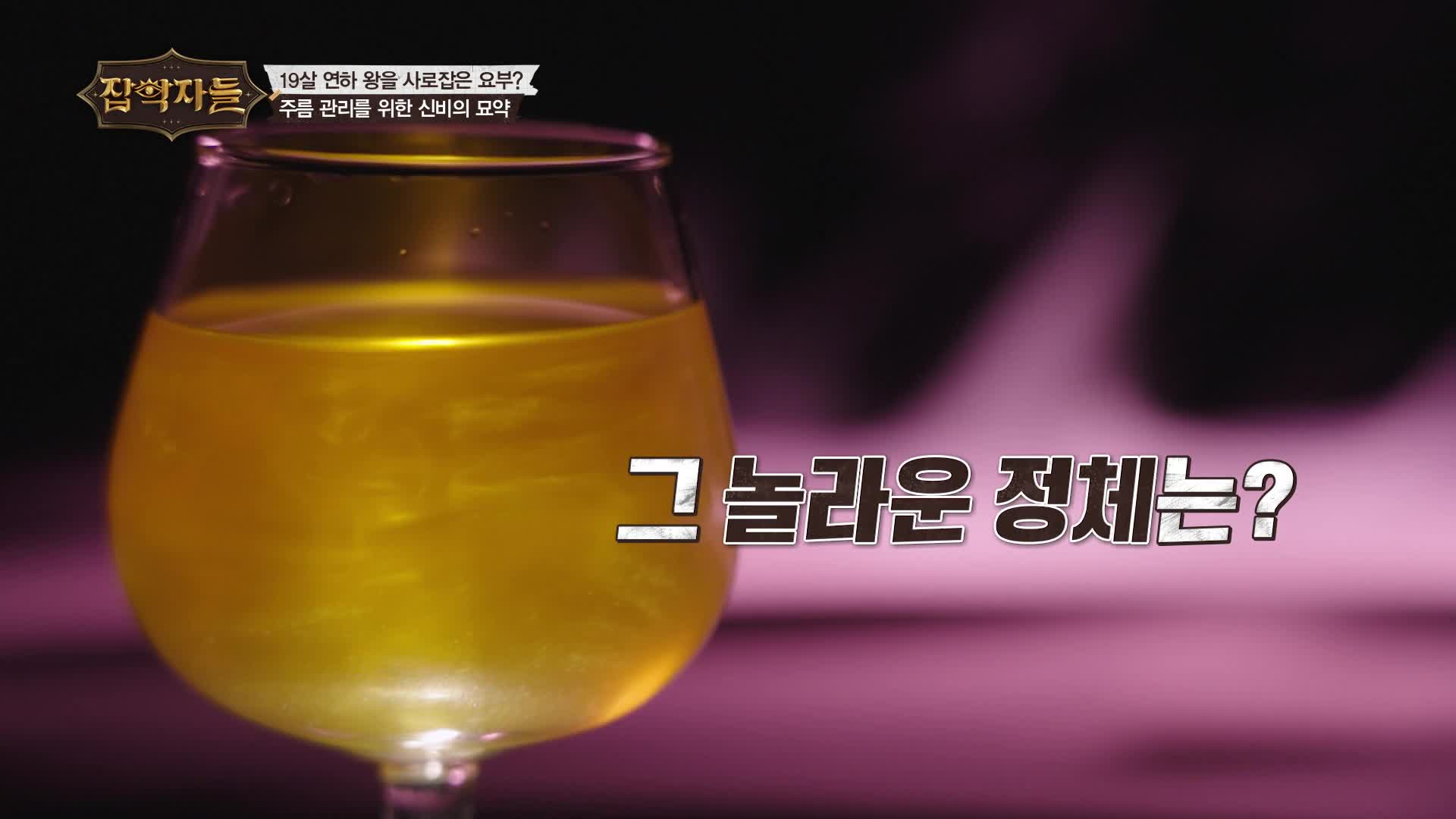 잡학자들 제31회