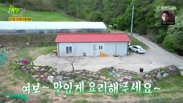 2TV 생생정보 2025-05-12