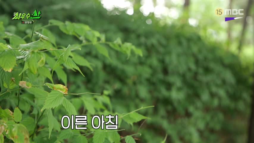 최우수산 2026-07-05