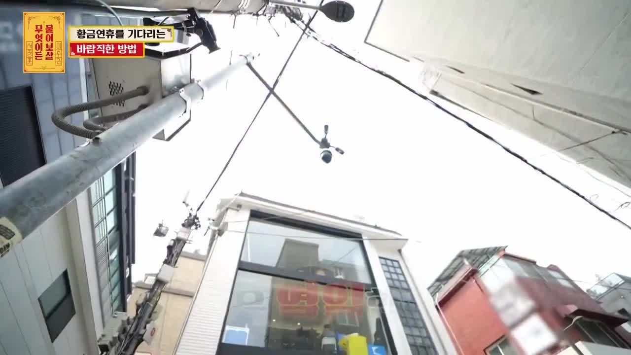 무엇이든 물어보살 제316회