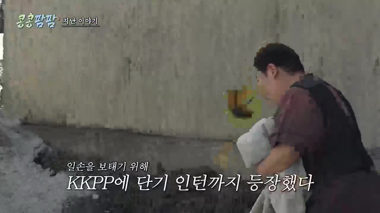 콩콩팜팜 2026-07-03