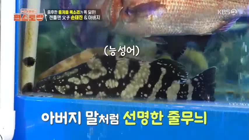 신상출시 편스토랑 2026-05-29