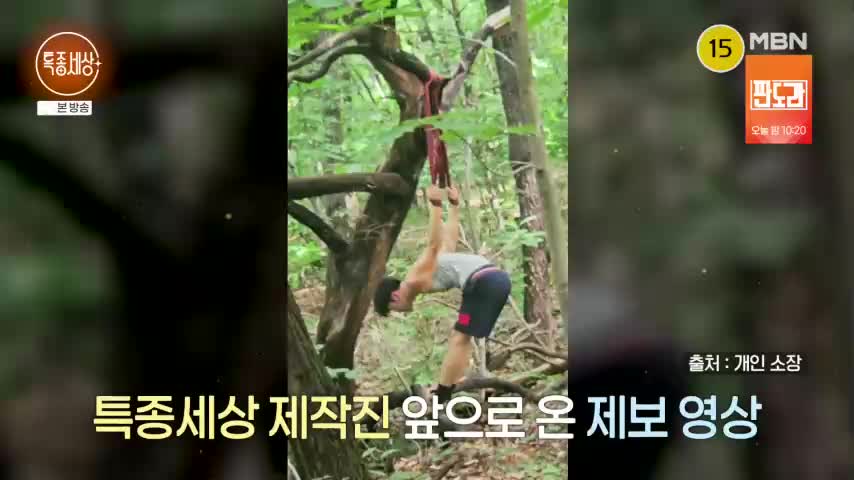 특종세상 2026-07-23