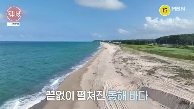 특종세상 2025-08-21