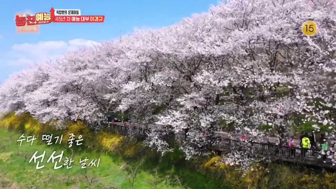 놓친 예능 따라잡기 2025-05-08