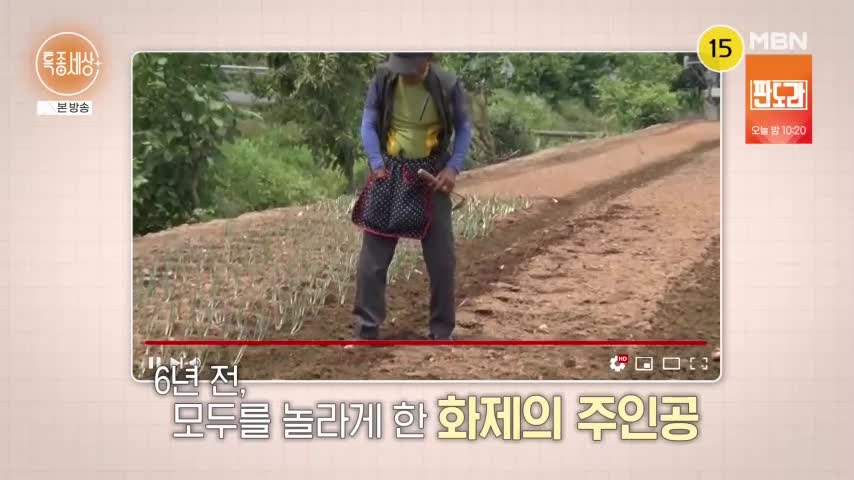 특종세상 2026-08-13