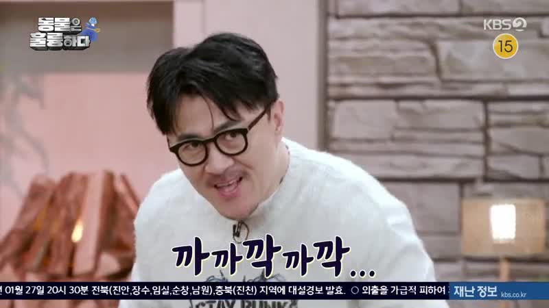 동물은 훌륭하다 2025-01-27