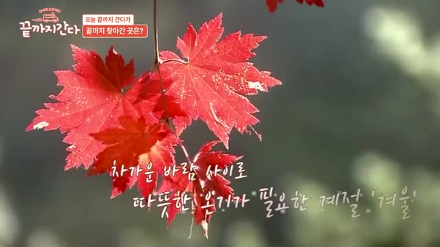 끝까지 간다 2025-12-09