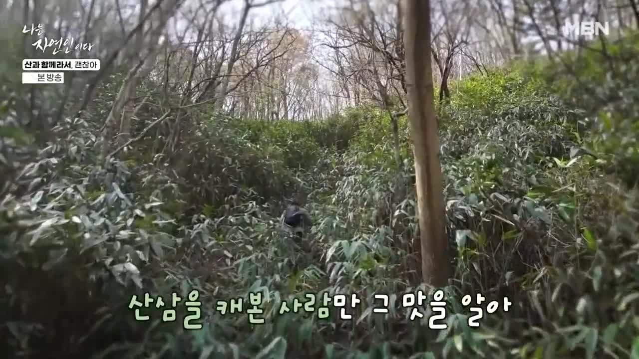 나는 자연인이다 제653회