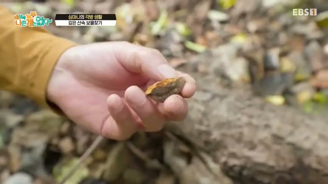 세상에 나쁜 개는 없다 시즌 4 제15회
