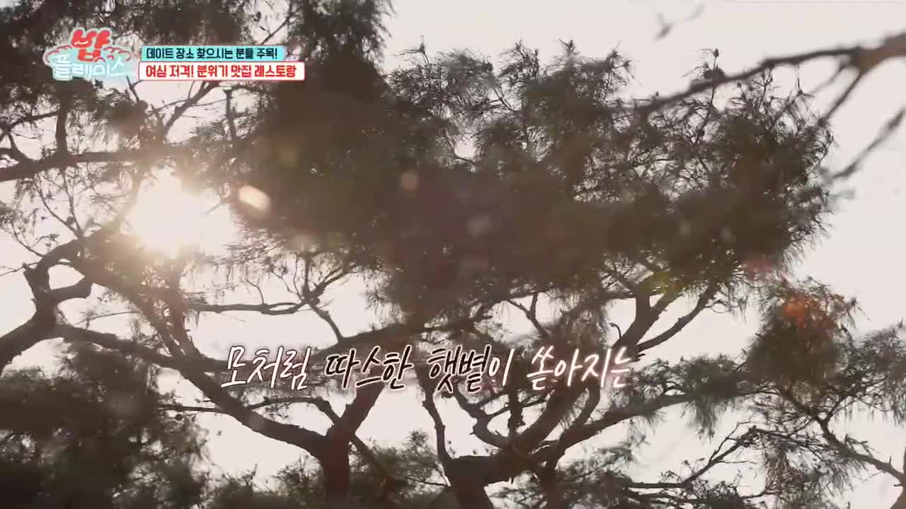 밥플레이스 2026-03-04