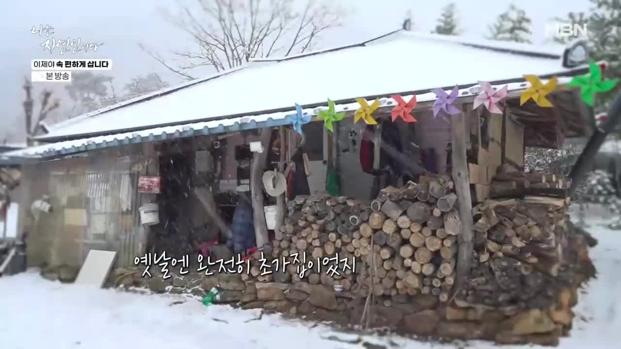나는 자연인이다 2026-03-16