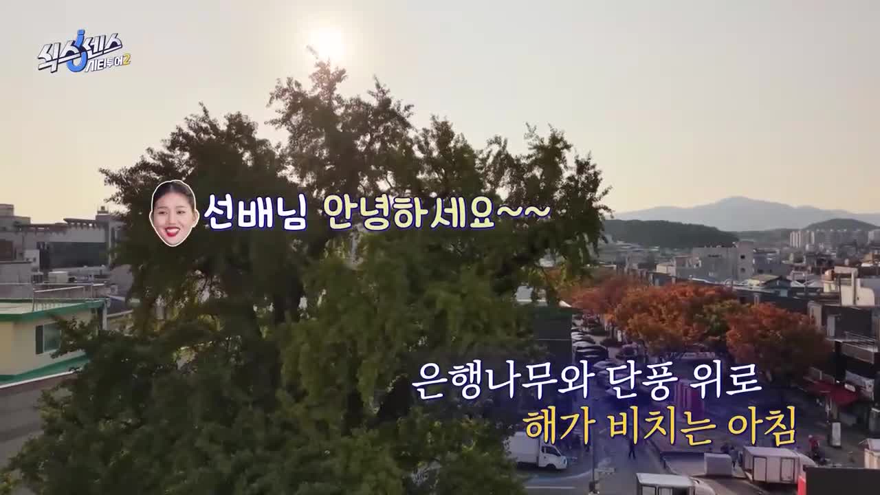 식스센스: 시티투어 2025-12-18