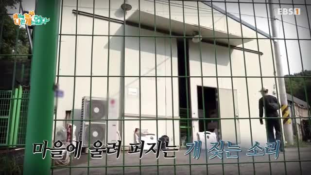 세상에 나쁜 개는 없다 시즌 4 2025-10-04