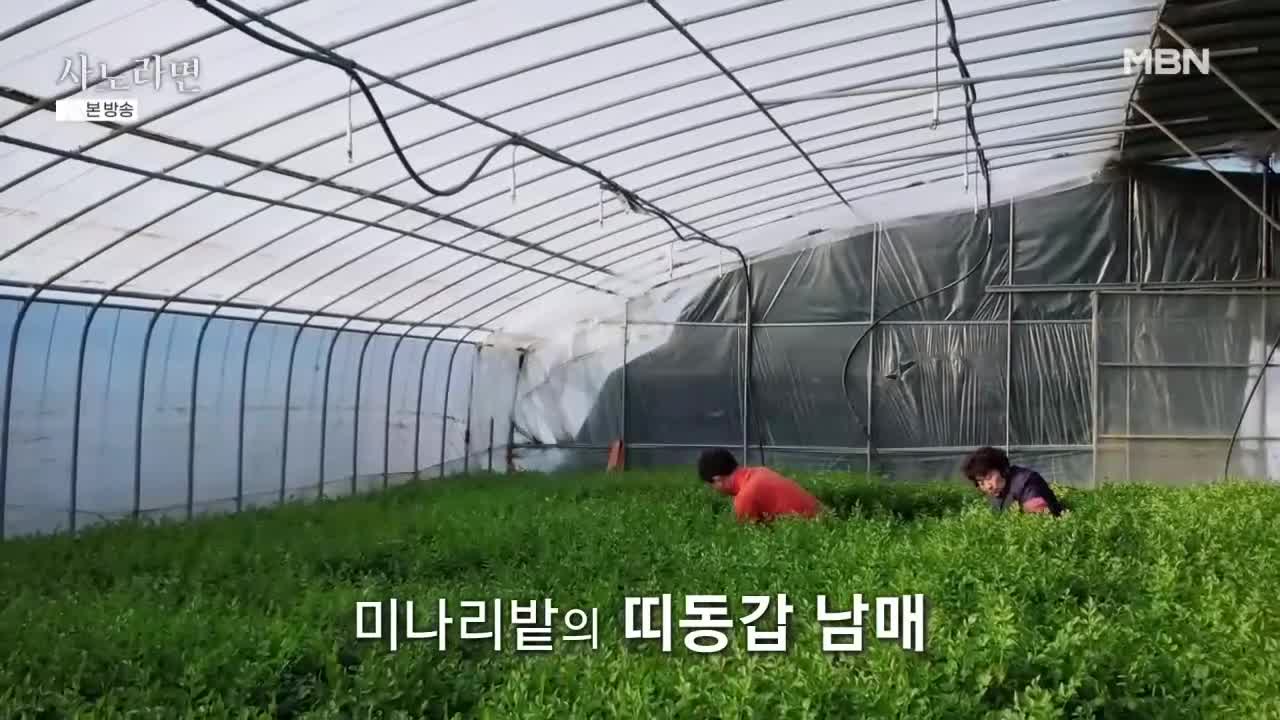 휴먼다큐 사노라면 2026-03-15