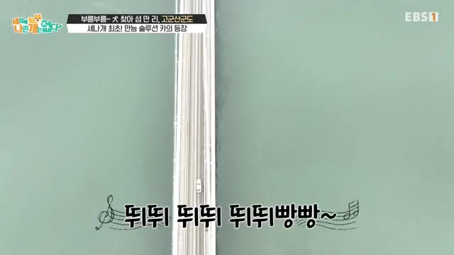 세상에 나쁜 개는 없다 시즌 4 2025-04-05