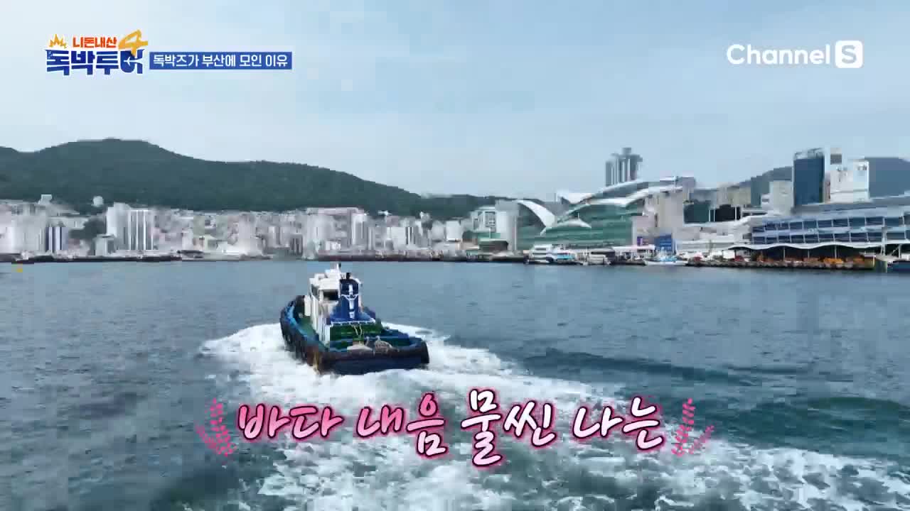 니돈내산 독박투어4 제48회 2026-05-02