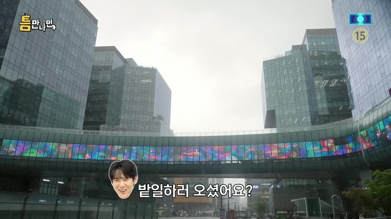 틈만나면 2025-07-29
