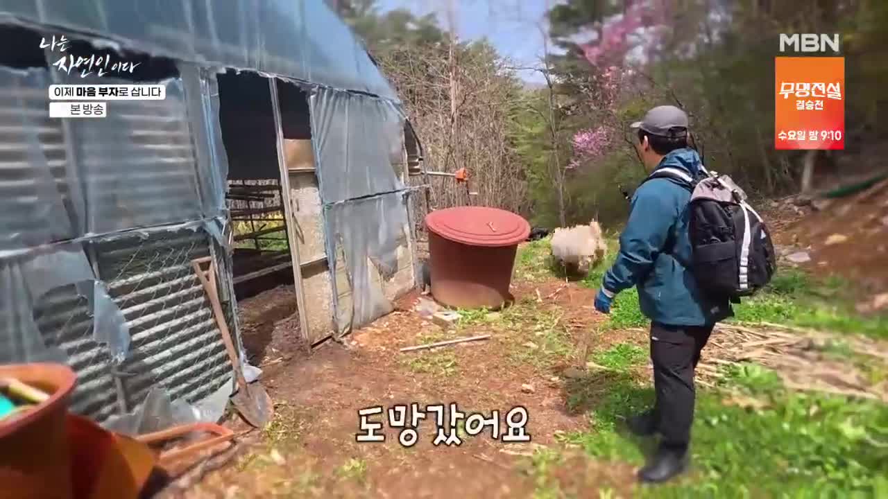 나는 자연인이다 2026-05-11