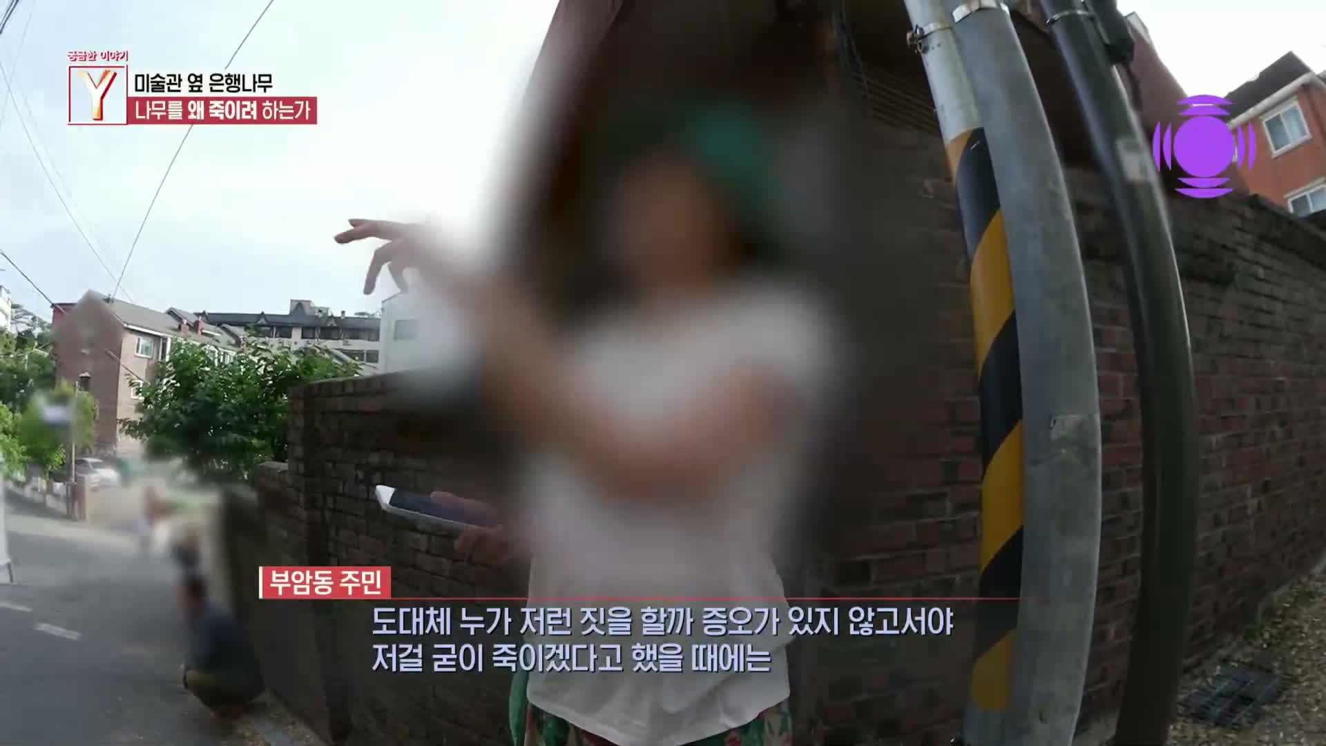 궁금한 이야기 Y 제780회