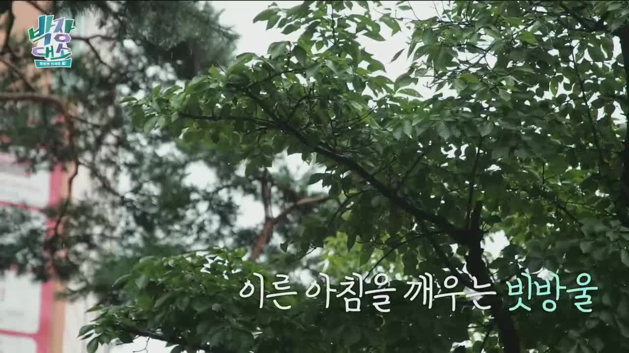 박장대소 2025-11-12