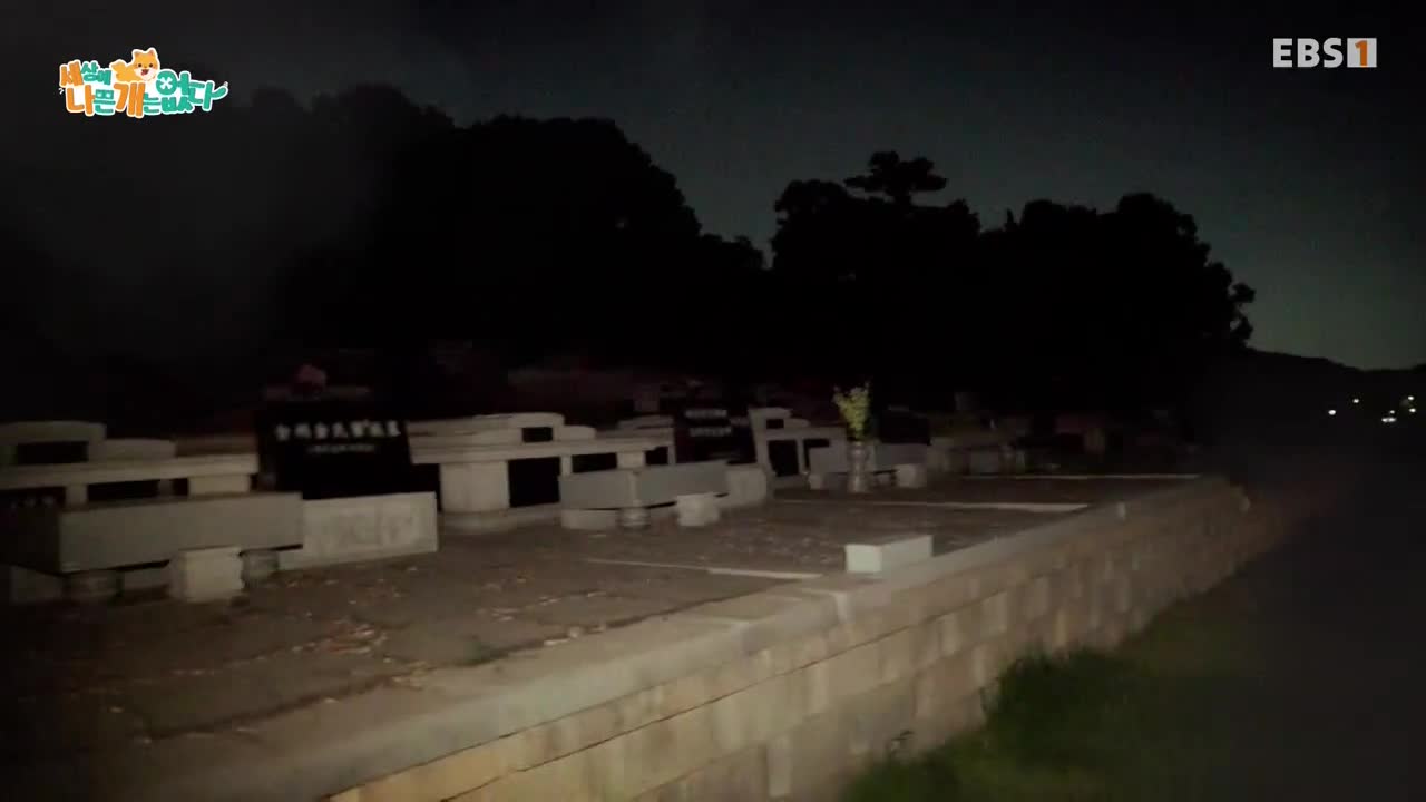 세상에 나쁜 개는 없다 시즌 4 2025-07-05