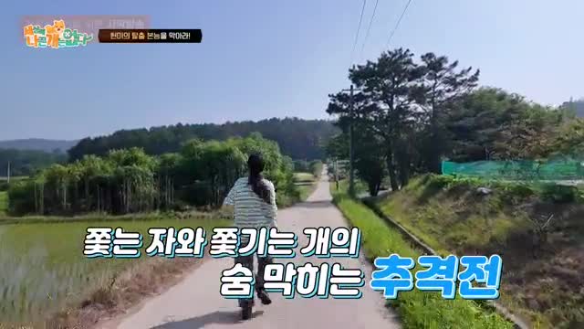 세상에 나쁜 개는 없다 시즌 4 2025-07-12