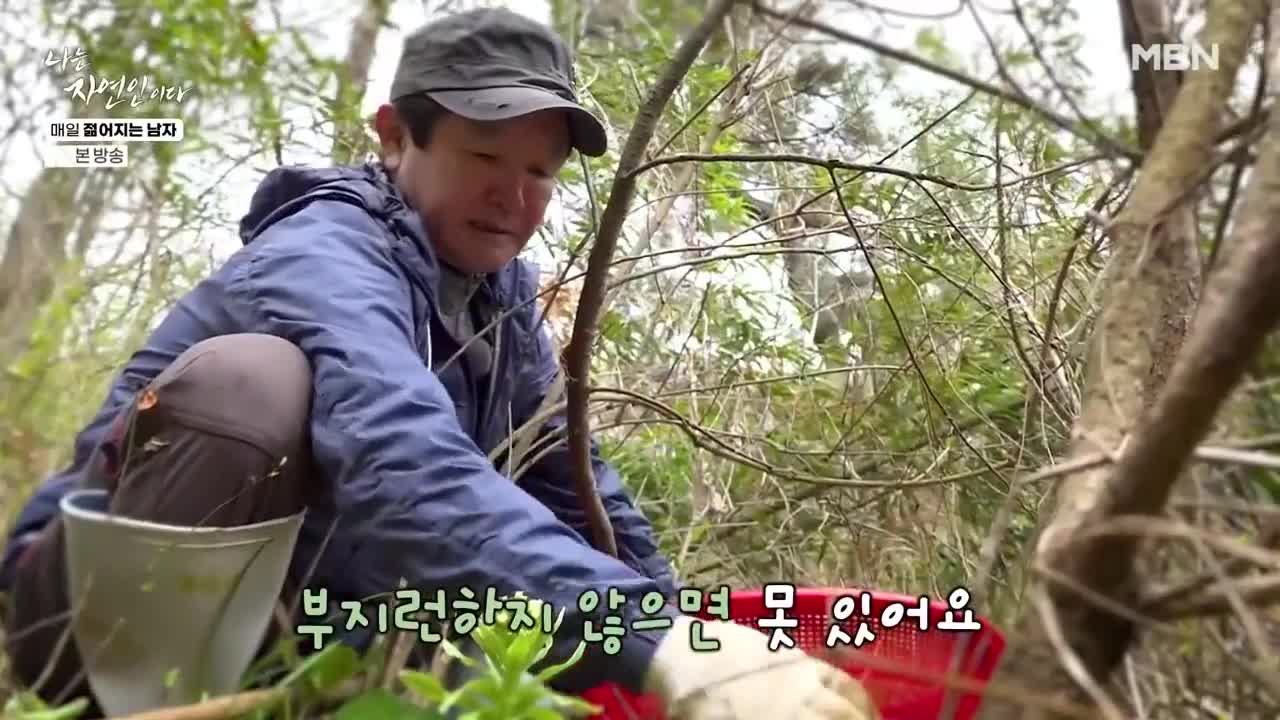 나는 자연인이다 제655회