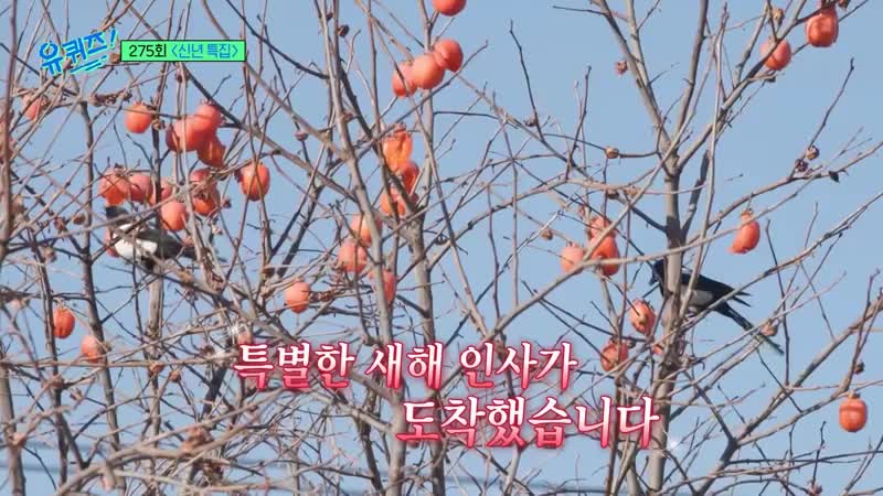 유 퀴즈 온 더 블럭 제275회