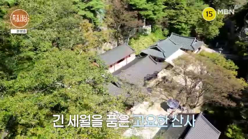 특종세상 2026-10-01