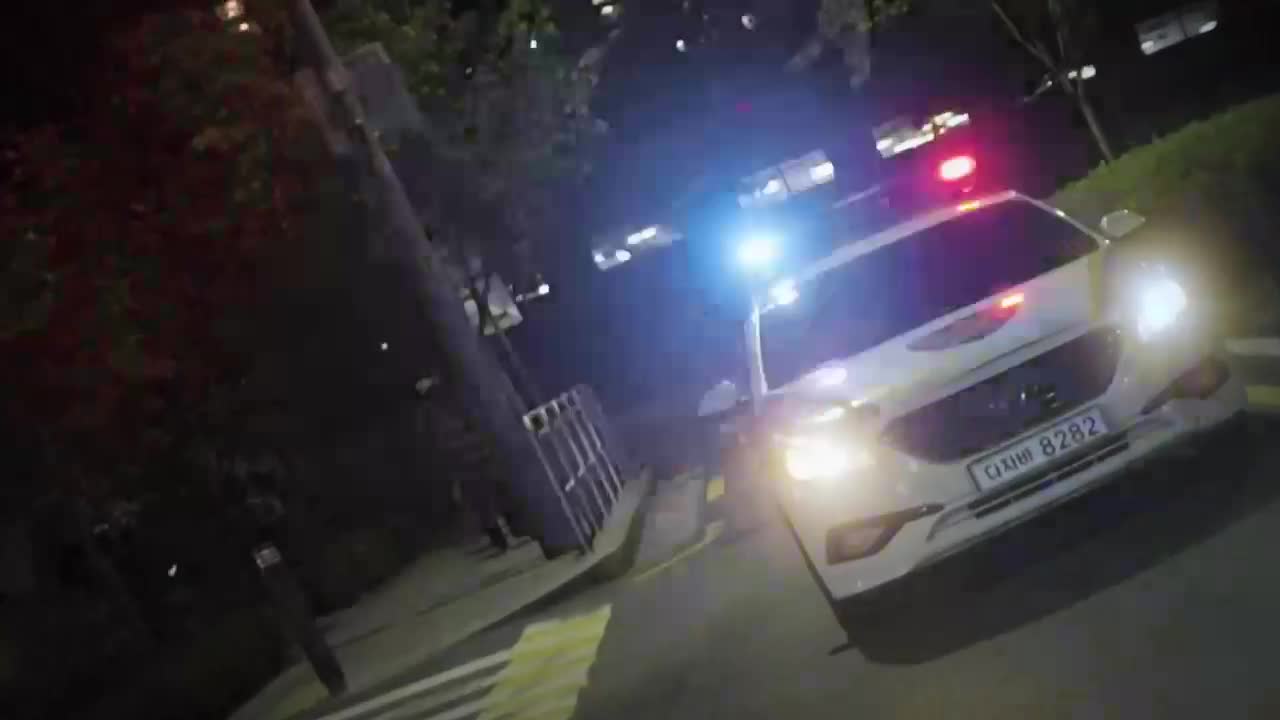 용감한 형사들 5 2026-10-02