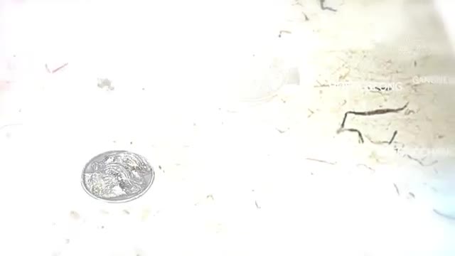 한국인의 밥상 2025-04-17