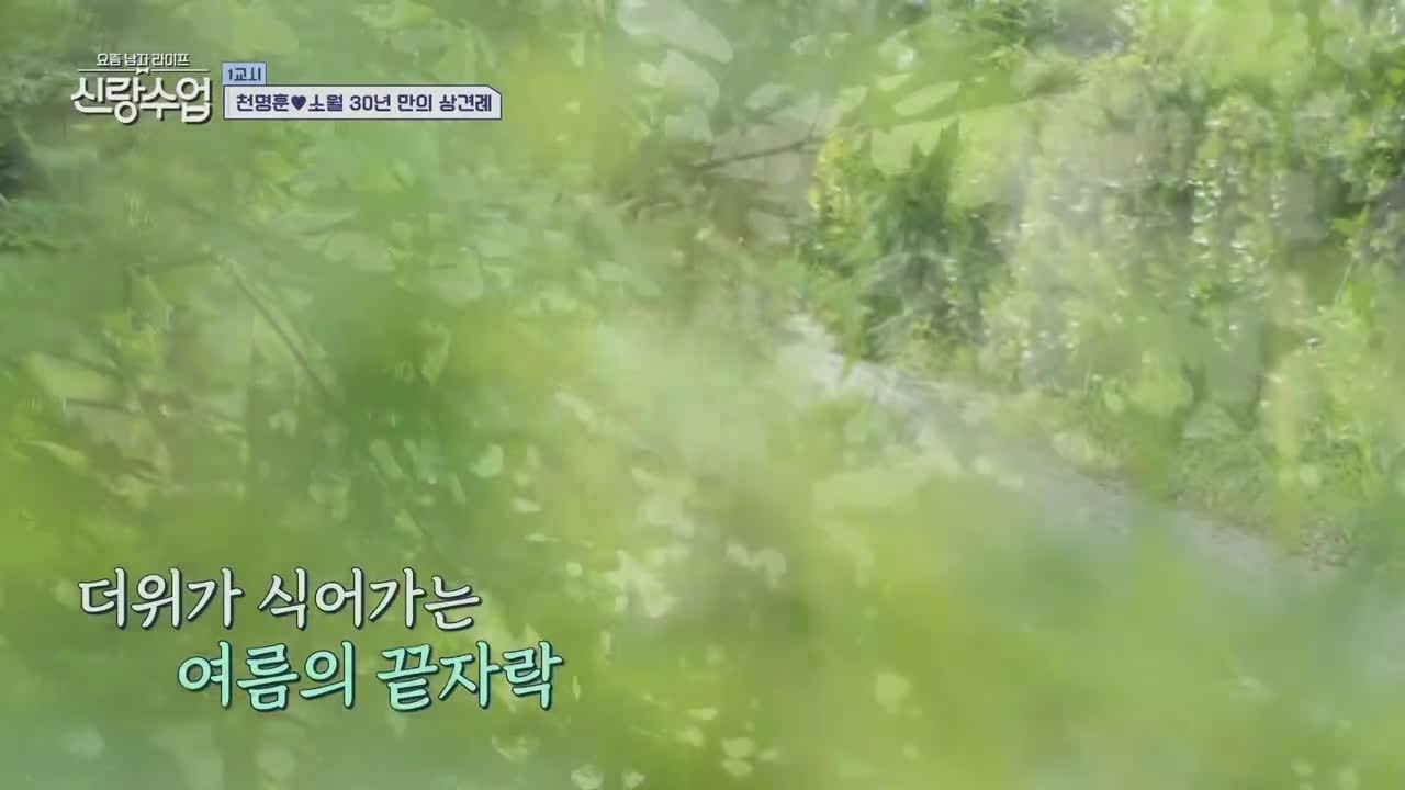 요즘 남자 라이프 신랑수업 제181회