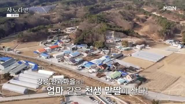 휴먼다큐 사노라면 2025-01-19