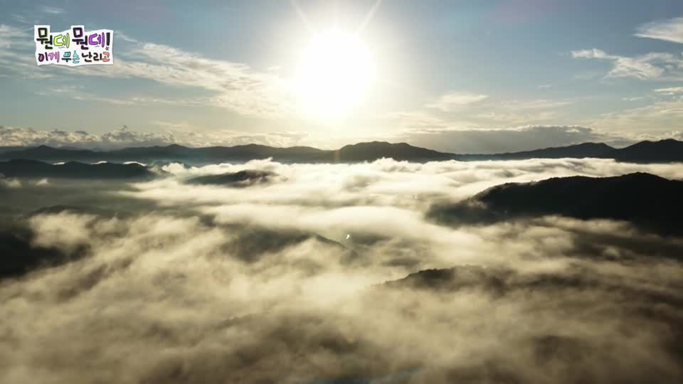 뭔데뭔데! 이게 무슨 난리고 2026-10-09