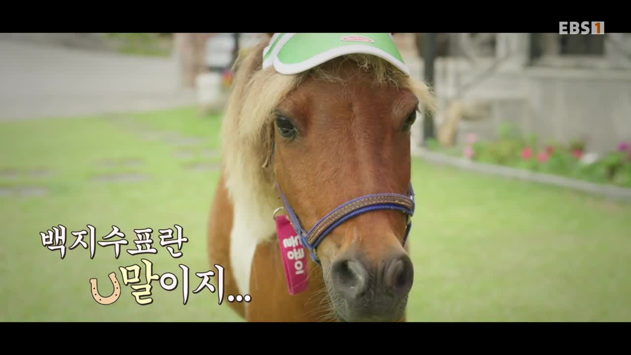 서장훈의 이웃집 백만장자 시즌2 2026-09-23
