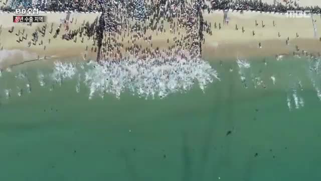 PD수첩 제1483회