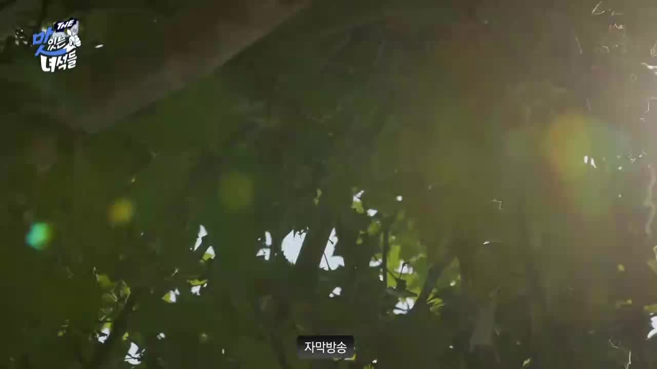 THE 맛있는 녀석들 2025-06-27
